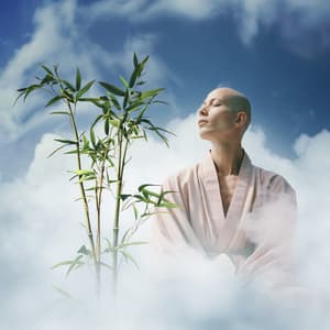 Zen in the Air - Aria Stillness