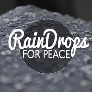 Rain Drops for Peace - Rain Meditation