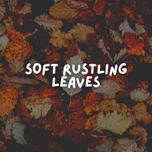 Soft Rustling Leaves - Soporific Pink Noise