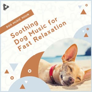 Soothing Dog Music for Fast Relaxation - Dog Music Hour