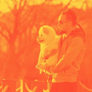 Music for Lazy Hound - Jazz for Dogs