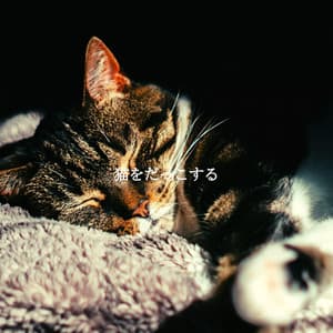 猫をだっこする - Easy Listening Sunday Morning Music