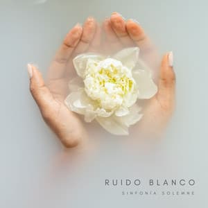 Ruido Blanco Sinfonía Solemne - Ondas Alfa Dormir