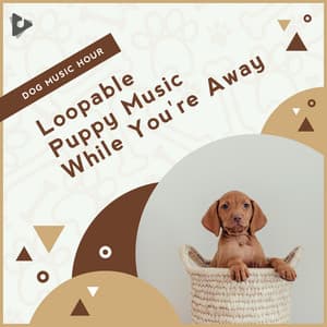 Loopable Puppy Music While You're Away - Dog Music Hour