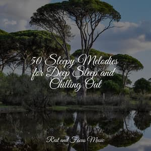 50 Sleepy Melodies for Deep Sleep and Chilling Out - Lullabies for Deep Meditation