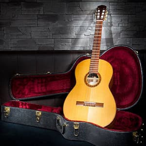 Guitar Vibes - Zelling