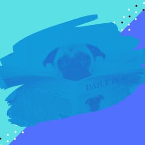 Music for Doggy Mental Health - Trumpet Jazz - Dog Jazz Music