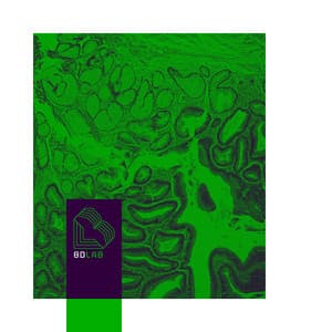 Piano Whispers - 8D Lab - Piano Music