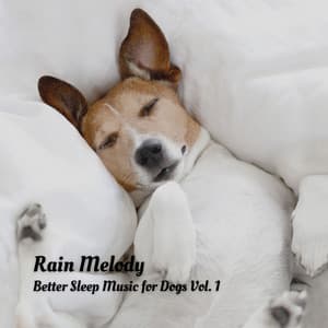 Rain Melody: Better Sleep Music for Dogs Vol. 1 - Calm Dog Music