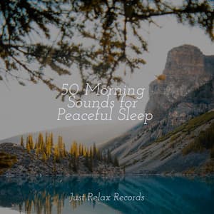 50 Morning Sounds for Peaceful Sleep - Musica Romantica