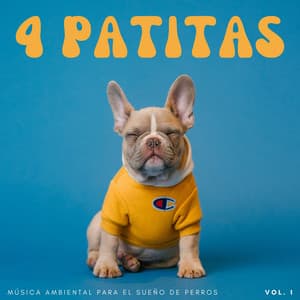4 Patitas: Música Ambiental Para El Sueño De Perros Vol. 1 - Sueños Triplete