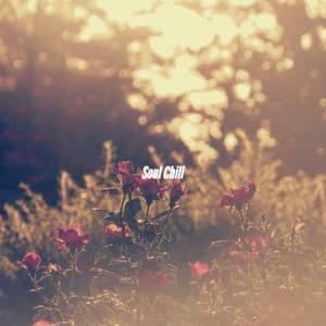 Soul Chill - Soft Jazz Songs