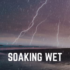 Soaking Wet - Thunderstorms HD