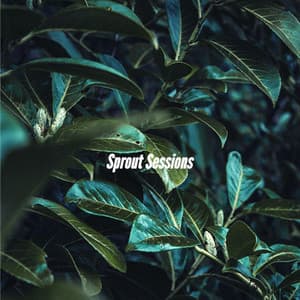 Sprout Sessions - Cafe Smooth Jazz Playlist All-stars