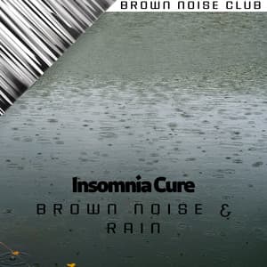 Insomnia Cure Brown Noise & Rain - Brown Noise Warriors