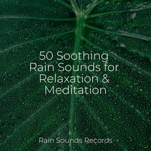 50 Soothing Rain Sounds for Relaxation & Meditation - Nature Sound Collection