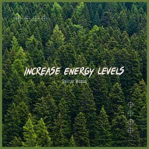 Increase Energy Levels - Phillip Woods