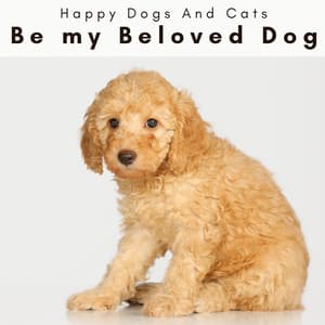 4 Paws: Be my Beloved Dog - Happy Dogs And Cats