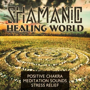 Shamanic Healing World - Positive Chakra, Meditation Sounds, Stress Relief - Xchina