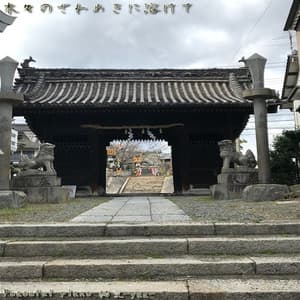 木々のざわめきに溶けて - Peaceful piano