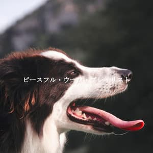 ピースフル・ウーフ・プレイリスト - Chilled Morning Music