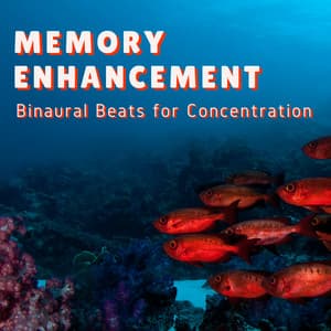 Memory Enhancement - Super Intelligence Binaural Beats - Memory Helper
