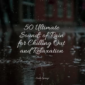 50 Ultimate Sounds of Rain for Chilling Out and Relaxation - FX & Effects