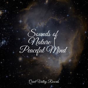 Sounds of Nature | Peaceful Mind - Sons da natureza HD
