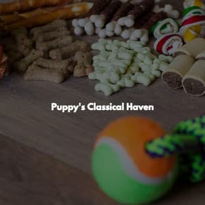Puppy's Classical Haven - Cafe de Musica Instrumental