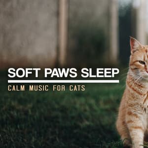 Soft Paws Sleep - Calm Music for Cats