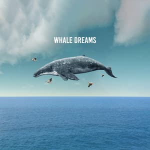 Whale Dreams - ASMR Rain Sounds