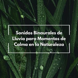 Sonidos Binaurales De Lluvia Para Momentos De Calma En La Naturaleza - Latidos Binaurales Ondas Alfa