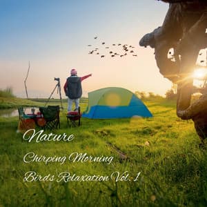 Nature: Chirping Morning Birds Relaxation Vol. 1 - Concentration Focus