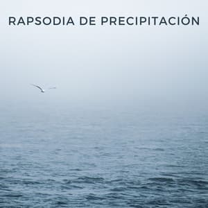 Rapsodia De Precipitación - Lluvia Calmante
