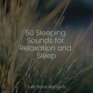 50 Sleeping Sounds for Relaxation and Sleep - Study Hard