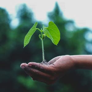 0 Hour Zen: Youthful Reality - between waves