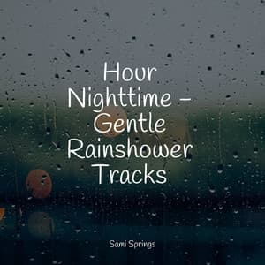 Hour Nighttime - Gentle Rainshower Tracks - Meditação Maestro
