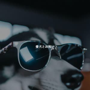 愛犬とお祝い - Hotel Lounge Deluxe