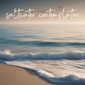 saltwater contemplation: meditate with calm sea waves - Calming Waters Consort