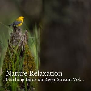 Nature Relaxation: Perching Birds on River Stream Vol. 1 - Slow Sex Music