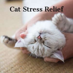 Cats Jazz | Cat Stress Relief - Jazz Music for Cats
