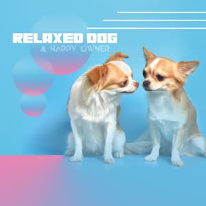 Relaxed Dog & Happy Owner: Free Your Pet From Stress, Soft New Age Tones, End Of Insomnia, Unique Pet Therapy - Animal Melody Wizard