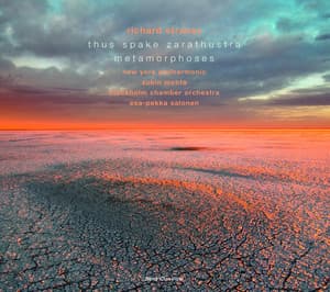 Strauss: Orchestral Works - Richard Strauss