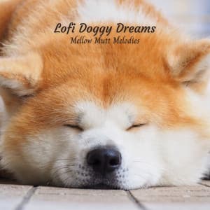 Lofi Doggy Dreams: Mellow Mutt Melodies - Lofi Radiance