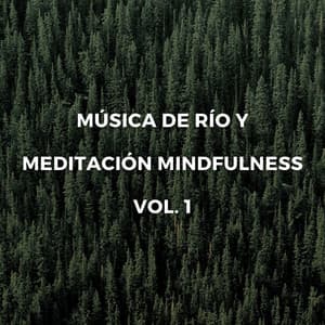 Música De Río Y Meditación Mindfulness Vol. 1 - Agua calmante