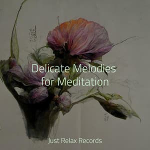 Delicate Melodies for Meditation - Musica Romantica Ensemble