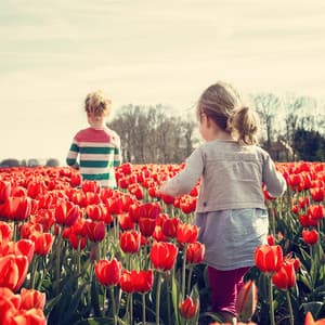 50 Calm & Soft Nature Lullabies - Smart Baby Lullaby