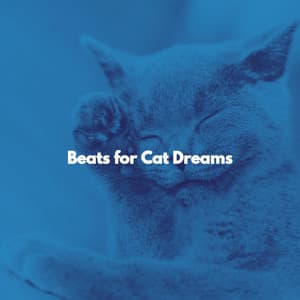 Beats for Cat Dreams - Acoustic Study Music Beats