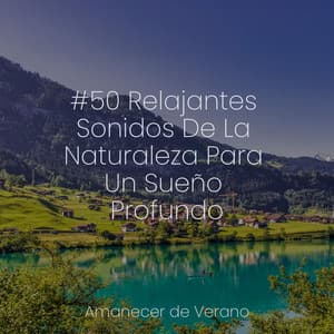#50 Relajantes Sonidos De La Naturaleza Para Un Sueño Profundo - Spa