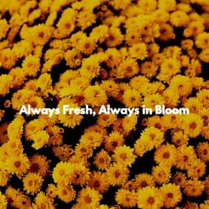 Always Fresh, Always in Bloom - Musica para Hoteles Ambiente